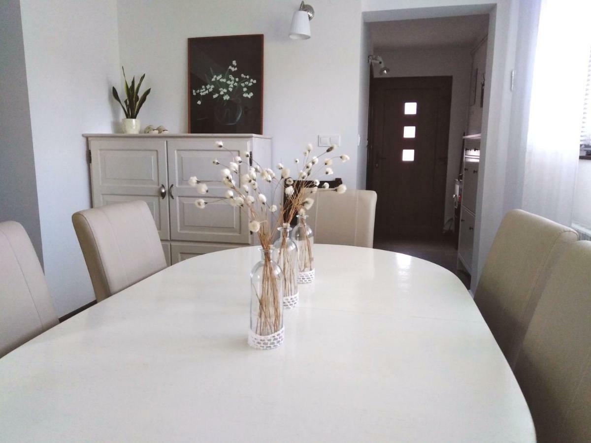 Spacious Apartment "Ana" On Lake Sabljaci Ogulin Kültér fotó